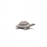 Tortuga 