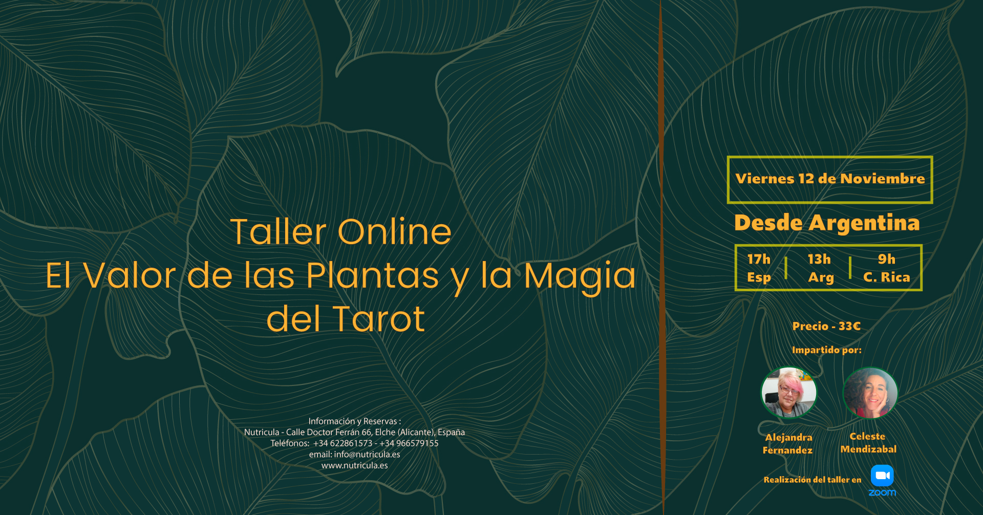Taller Online El Valor de las Plantas y la Magia del Tarot