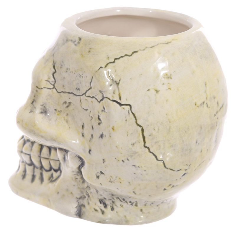 Taza calavera